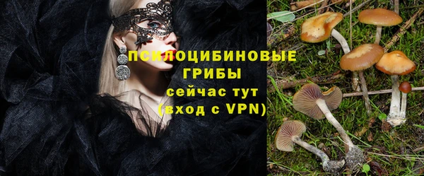 герыч Нязепетровск