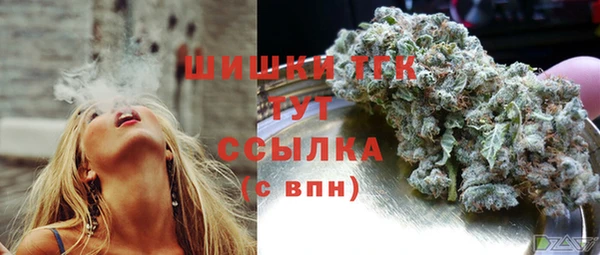 spice Няндома