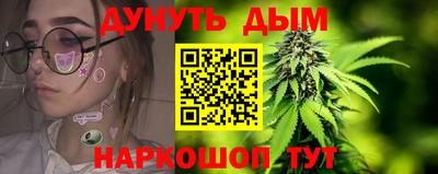Альфа ПВП Гатчина