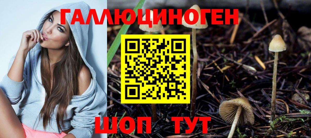 Бошки Шишки  Алексеевка  Alpha-PVP  Меф  ГАШ  Мефедрон  Вход с VPN  Cocaine 